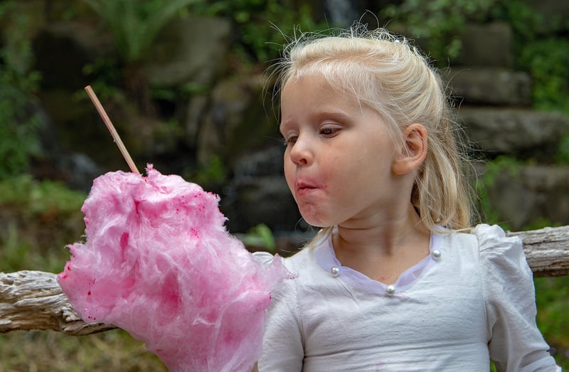 Fairy Floss Forest